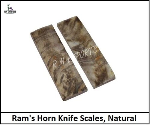 Ram Horn Knife Scales