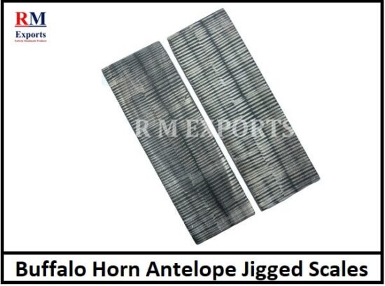 Buffalo Horn Antelope Scales