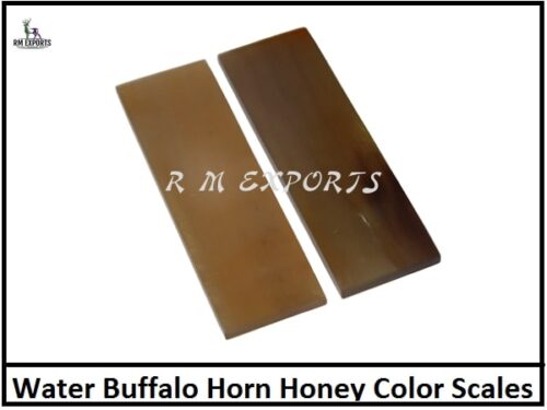 Water Buffalo Horn Honey Color Scales.jpg