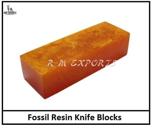 Fossil Wood Resin Blocks