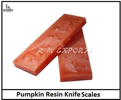 Pumpkin Resin knife Blocks